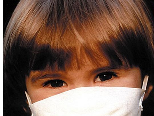 Elblążanka bez wirusa świńskiej grypy! Prosto z Meksyku...