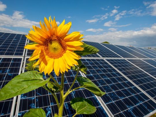 Energa z najwyższym wynikiem ratingu ESG w historii pomiarów spółki