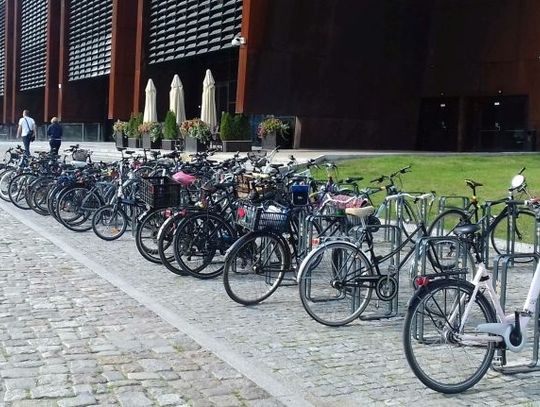 Europejski Tydzień Transportu Zrównoważonego na Pomorzu. Darmowa komunikacja i co jeszcze? 