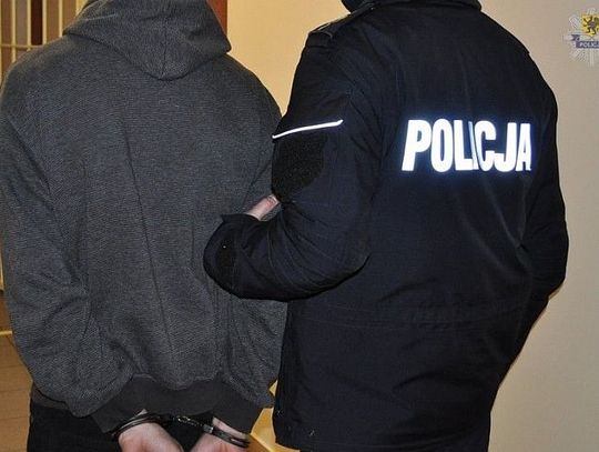 Fantazja oszustów. Przyznał, że prawko... kupił na aukcji