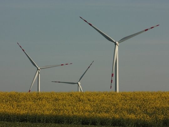 Farma wiatrowa za 240 mln zł!