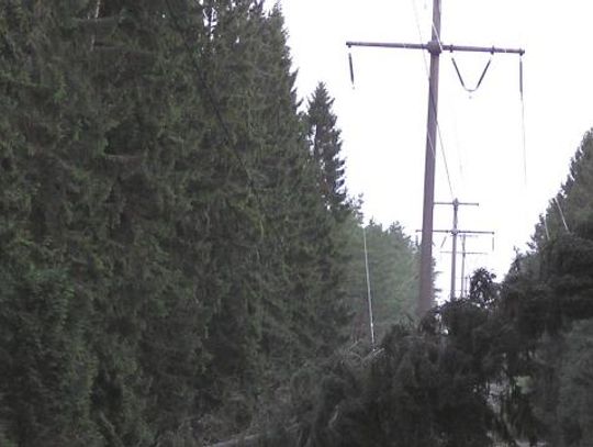 Fatalne skutki porywistego wiatru. Tysiące osób bez prądu