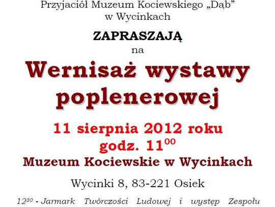 Festyn "tanecznym krokiem". A ludzie czekali pod płotem