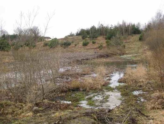 Fetor nad jeziorkiem w Goszynie - winna kanalizacja, czy ktoś z mieszkańców?