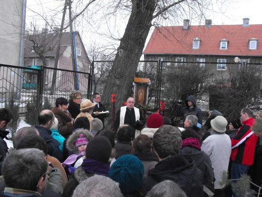 Figurka Matki Boskiej Niepokalanego Poczęcia w ogrodzie