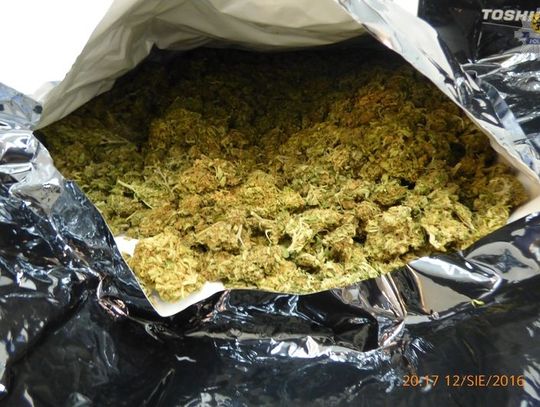 [FILM] 16 kilogramów narkotyków u mieszkańca Gdańska zatrzymanego w Pile