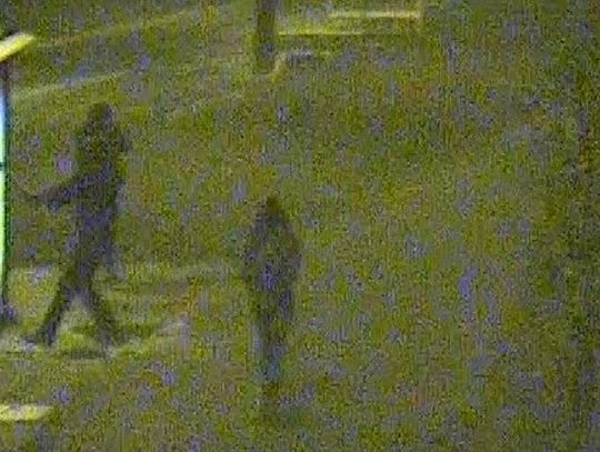 [FILM] Zatrzymano wandala który zniszczył przystanek