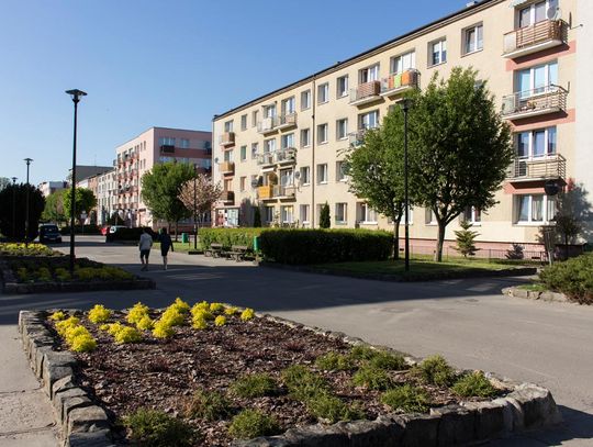 FOTO: Aleja Wojska Polskiego w obiektywie 