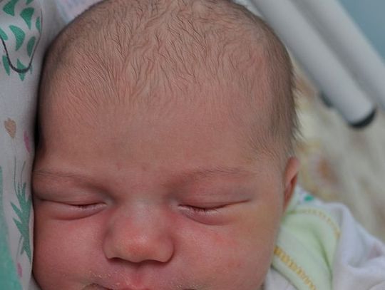 [FOTO] Maluszki - nowi mieszkańcy Tczewa i okolic