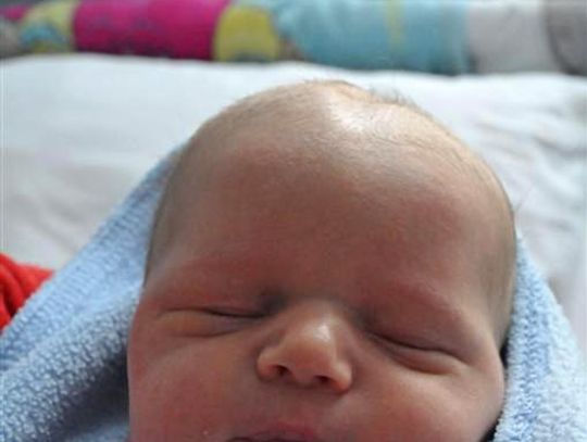 [FOTO] Maluszki - powitaj nowych mieszkańców!