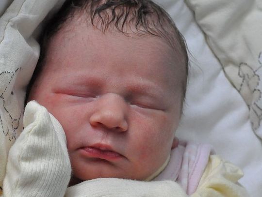 [FOTO] Maluszki - powitajcie nowych mieszkańców