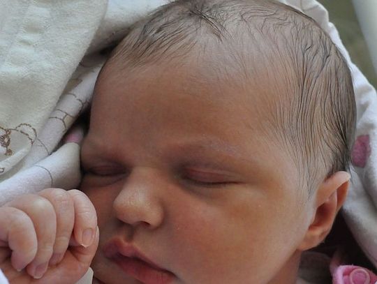 [FOTO] Maluszki - poznaj nowych mieszkańców!