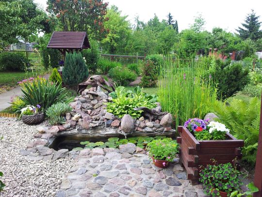 [FOTO] Najładniejsza działka rekreacyjna w Tczewie 