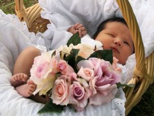 [FOTO] Poznaj MALUSZKI - nowych mieszkańców Tczewa i okolic!