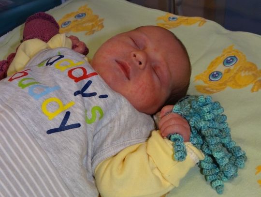 FOTO: Prezent dla wcześniaków. Wyjątkowe ośmiorniczki dla najmniejszych pacjentów 