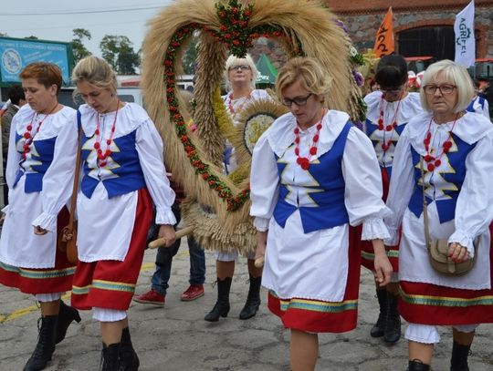 FOTO: Tłumy mieszkańców na Święcie Plonów, wystawie i targach 