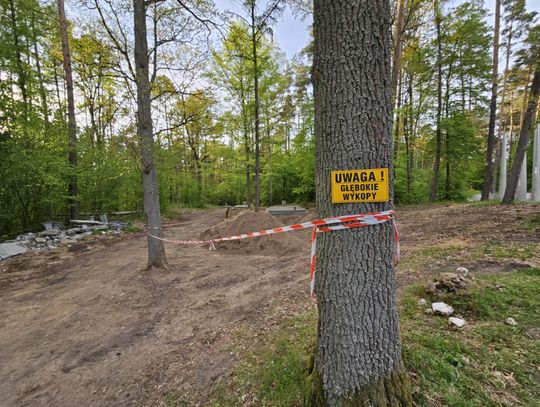 [FOTO, WIDEO] TYLKO U NAS: Wznowiono badania w Lesie Szpęgawskim. Prowadzi je pion kryminalny IPN