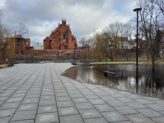 [FOTO] Zalane działki, park miejski i tereny rekreacyjne