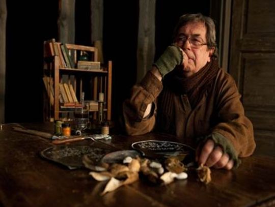 Gajos, Szaflarska, Radziwiłowicz i nie tylko. Dwa teatry w Sopocie