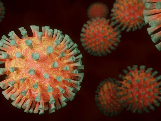 Gdański sanepid informuje o kolejnych przypadkach zarażenia wirusem SARS – CoV- 2 w powiatach: malborskim, sztumskim i puckim