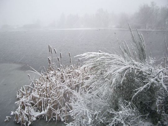 Gdy temperatura za oknem spada - sposób na zimowe osłabienie