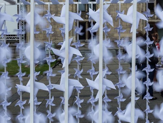 Gdynia dołączyła do kampanii na rzecz energetyki obywatelskiej