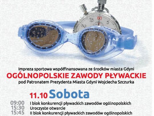 Gdyńskie delfinarium - zawody pływackie