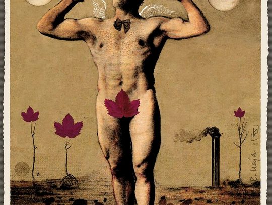 „Gdzie ci faceci” - wszelkie aspekty wojny płci. Wzięte z życia 