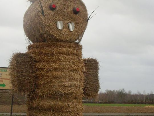 Gdzie jest słomiany zając?