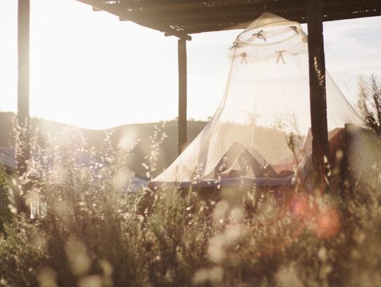 Gdzie sprawdzi się moskitiera na wymiar? 