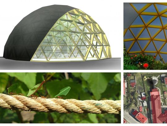 Głosuj na ogród dla dzieci z hospicjum!