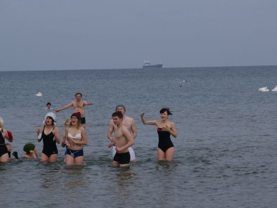 "Gorąca" atmosfera morsów z "Krętej"