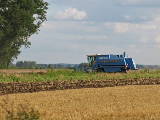 Gospodarzu, oczekuj rachmistrza. Powszechny Spis Rolny 2010 już we wrześniu