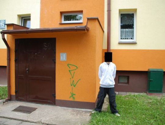 Graficiarz zniszczył 150 publicznych miejsc