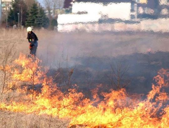 Grasuje podpalacz? Mieszkańcy zaniepokojeni ostatnimi pożarami