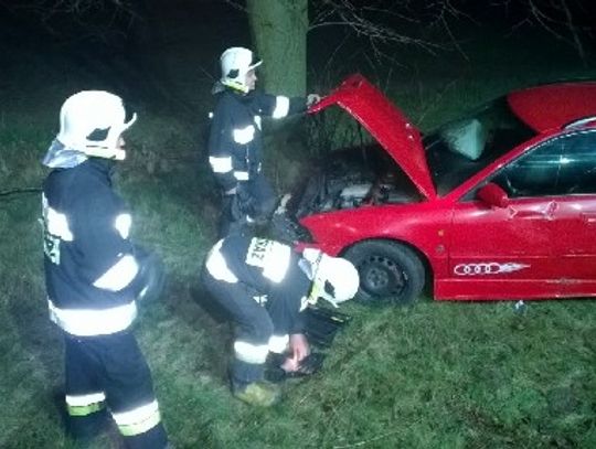 Groźnie na "jedynce". Audi zjechało do rowu i uderzyło w drzewo