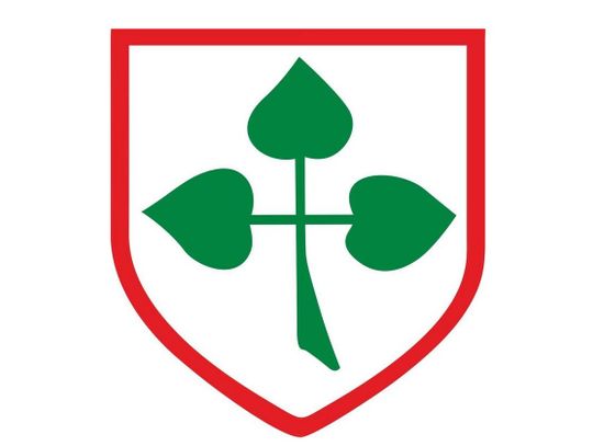 Grupa referendalna z Nowego Stawu ładuje akumulatory