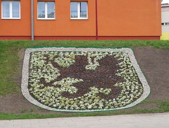 Gryf zakwitnie, czyli kwiatowa rabata z herbem miasta