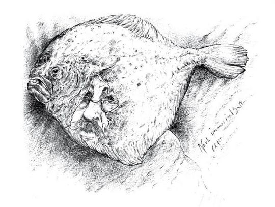 Günter Grass – kolekcja gdańska