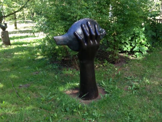 Günter Grass w Gdańsku