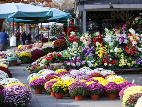 Handel przy cmentarzu komunalnym w Kwidzynie w czasie Wszystkich Świętych 2025