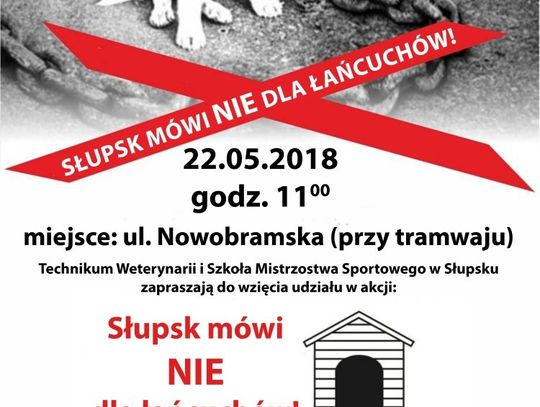 Happening  „Słupsk mówi NIE dla łańcuchów!” Prozwierzęca akcja