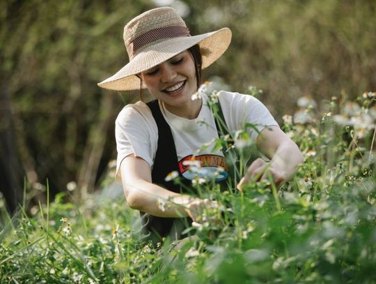 Idzie wiosna – przygotuj ogród na nowy sezon!