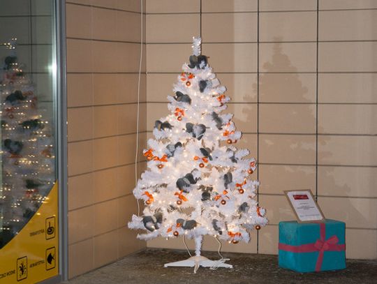 III Charytatywna Wystawa Choinek