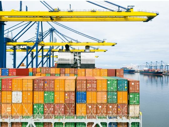 Import towarów drogą morską- co wziąć pod uwagę wybierając firmę transportową?