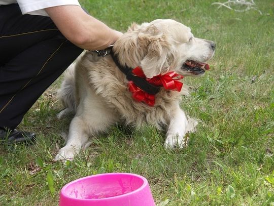 Jak dobrze mieć sąsiada