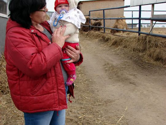 Jak dostać kasę na dziecko? Program 500 Plus w powiecie starogardzkim