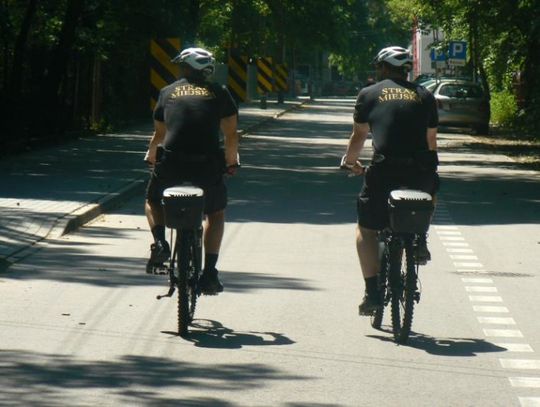 Jak działa Straż Miejska? Ok. 40 interwencji dziennie w lipcu