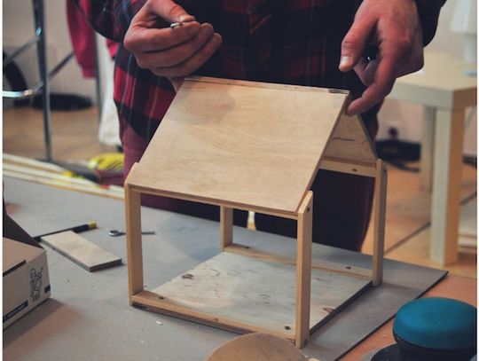 Jak pomagać ptakom w ogrodzie? Jak zrobić karmnik? Spotkanie i warsztaty