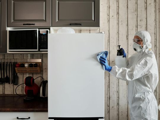 Jak skutecznie zwalczać szkodniki w przemyśle spożywczym?